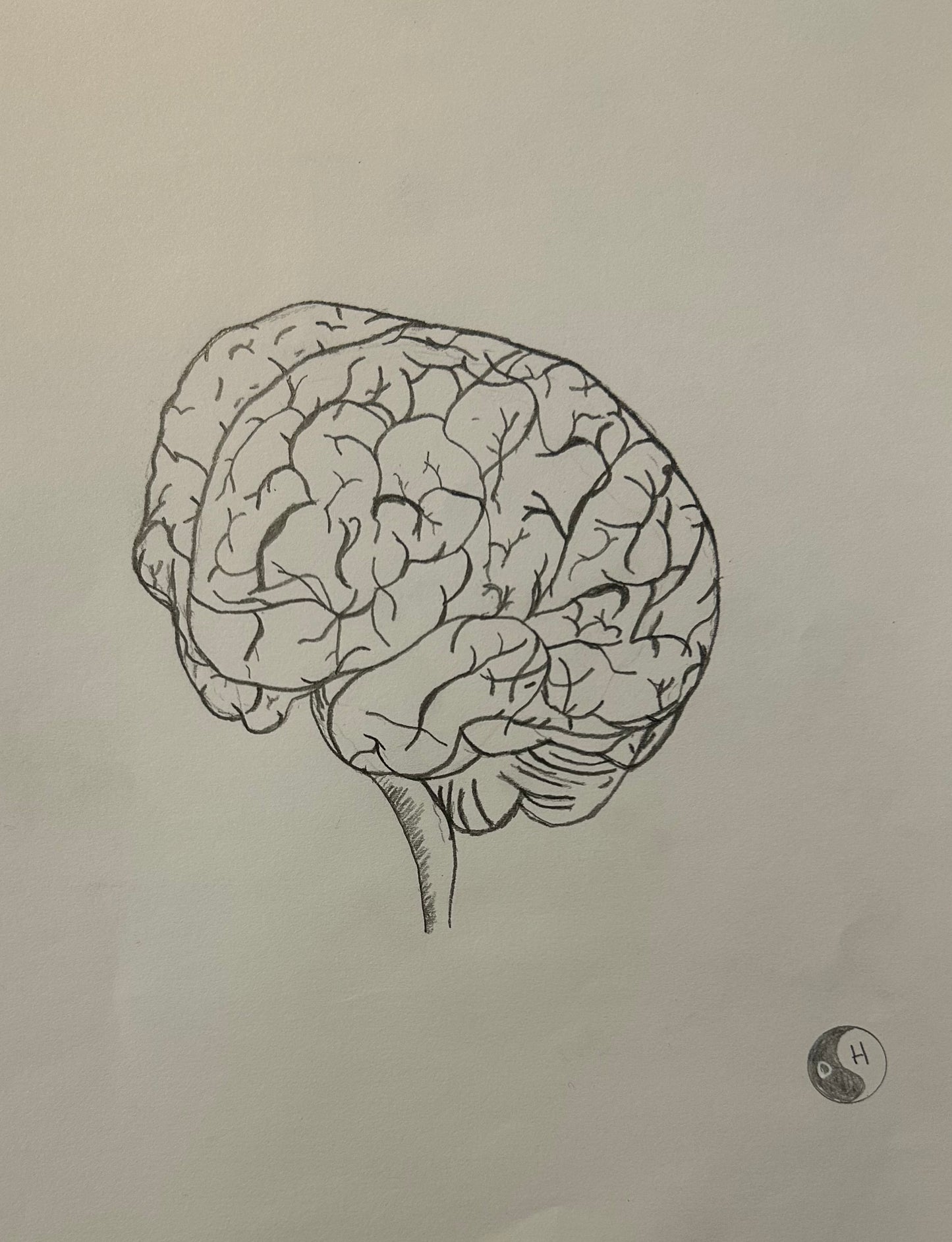 The Brain