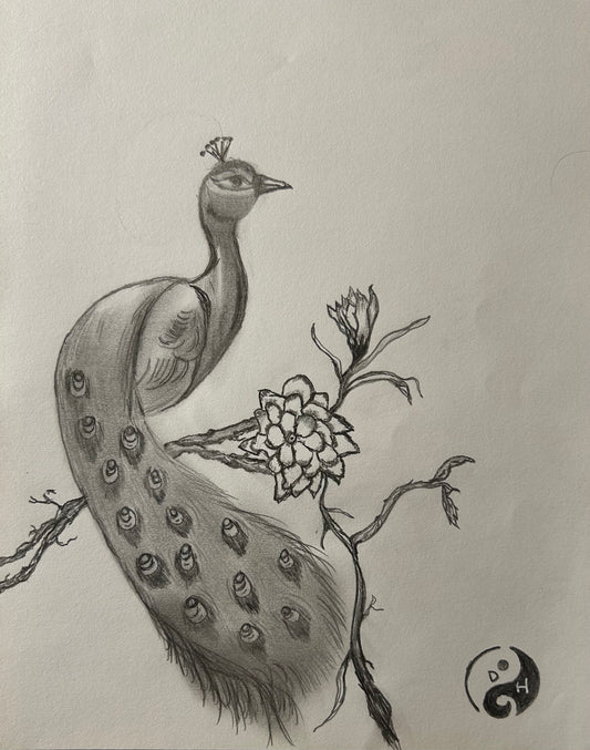 Peacock at Peace