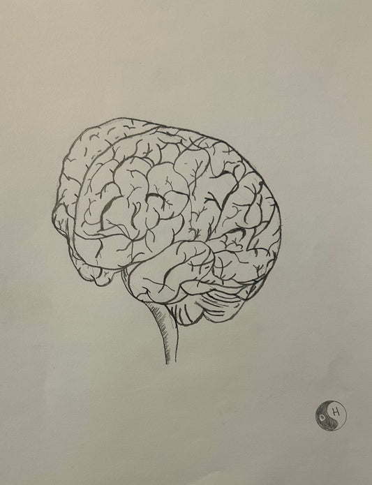 The Brain